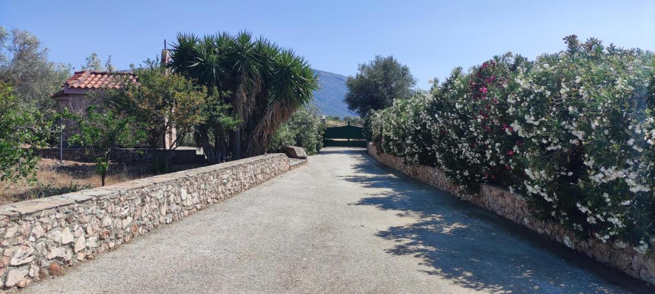 Ellie'S Stonehouse Gianapa, Porto Rafti, Greece, 190 03, Gr Villa Exterior photo